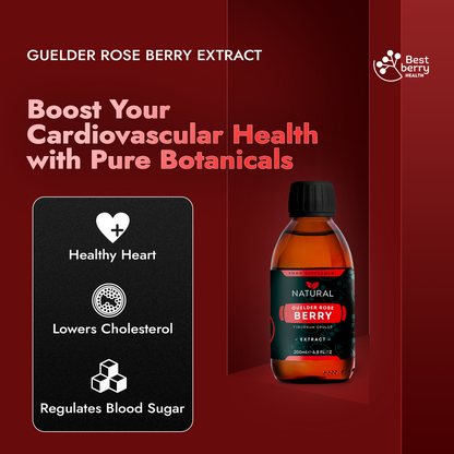 Guelder Rose Berry Extract